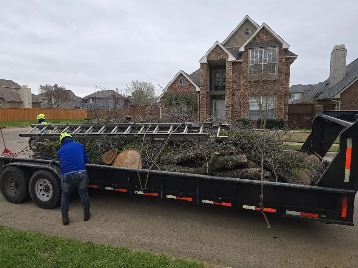 Expert Tree Fertilization with proper safety equipment in Justin